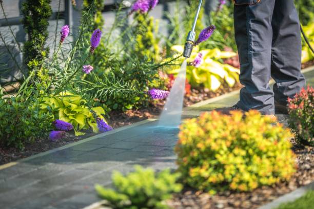 Best Sidewalk and Walkway Cleaning  in Pleasant Run Farm, OH